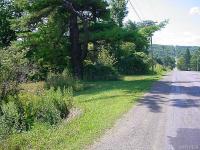 Rushford Road, Centerville, NY 14029