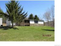 6606 Pleasant Valley Road, Wirt, NY 14739