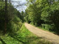 5735 Route 16, Ischua, NY 14743