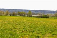 Groveland Station Road, Groveland, NY 14462