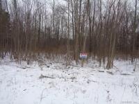806 Hamlin Clarkson Town Line Road, Hamlin, NY 14464