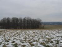 Federal Rd, Lot 1, Livonia, NY 14487