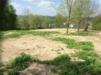 Big Tree Road, Livonia, NY 14487