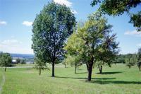 5823 Crabapple Drive, Groveland, NY 14462