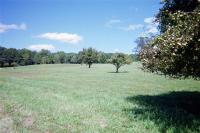 5829 Crabapple Drive, Groveland, NY 14462