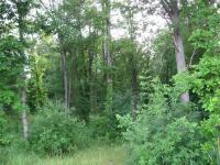 Elm Road, Geneseo, NY 14454