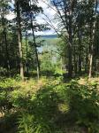 State Route 54, Wayne, NY 14893