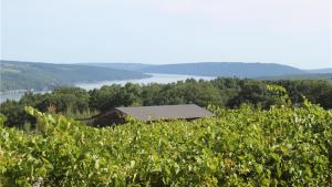 8636 County Route 87, Urbana, NY 14840