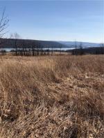 West Waneta Lake Road, Wayne, NY 14840