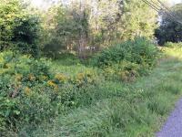 State Route 264, Schroeppel, NY 13135