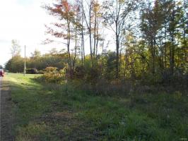 Maiden Lane Rd Lot # 5, Scriba, NY 13126