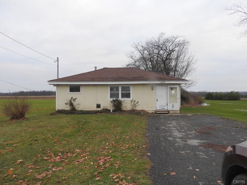 Singles in lysander ny
