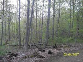 Albright Road, New Haven, NY 13114