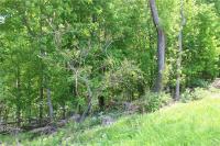 State Route 48 Road, Minetto, NY 13126