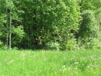 Co Rt 42, Minetto, NY 13115
