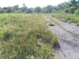 Ontario Street, Mexico, NY 13114