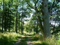 Ontario Shores Drive (23,24,25), Sterling, NY 13156