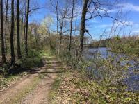 Ontario Shores Drive (19,20), Sterling, NY 13156