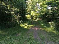 Ontario Shores Drive (16b,34), Sterling, NY 13156