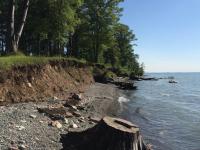 Ontario Shores Drive (11), Sterling, NY 13156
