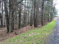 Irwin Road (43,44,45), Sterling, NY 13156
