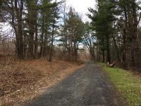 Irwin Road (48,49), Sterling, NY 13156
