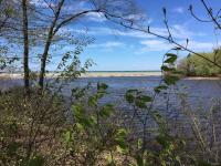 Ontario Shores Drive (17b), Sterling, NY 13156