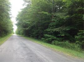 Rice Road, Mexico, NY 13114