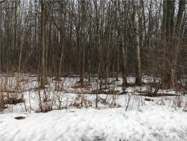 Upton Road, Victory, NY 13143