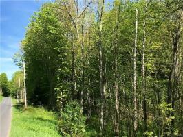 Gray Road, Minetto, NY 13115
