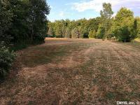 Elizabeth Street, Oswego City, NY 13126