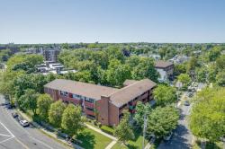437 Pelham Road B1 New Rochelle, NY 10805