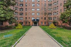 33 William Street 2E Mount Vernon, NY 10552