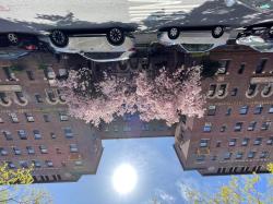 62-98 Saunders Street 2H Rego Park, NY 11374