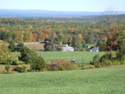 22 Decocco Selkirk, NY 12159