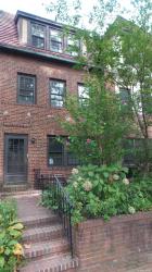 382 Burns Street 1 Forest Hills, NY 11375