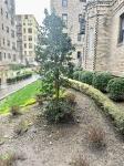 2075 Wallace Avenue 546 Bronx, NY 10462