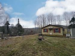 49 Ryan Road Jewett, NY 12444