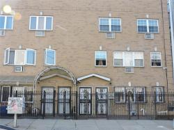 1031 Halsey Street Brooklyn, NY 11207