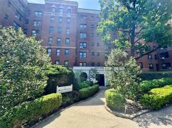 1 Broad Parkway 7S White Plains, NY 10601