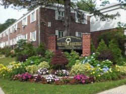 226-01 88th Avenue LOWER Queens Village, NY 11427