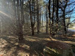 Eton Lane Rock Hill, NY 12775