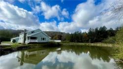 141 Bonnie Brook Road Roscoe, NY 12776