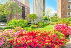 67-11 Yellowstone Boulevard 2B Forest Hills, NY 11375