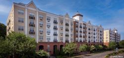 1100 Avalon Square S1332 Glen Cove, NY 11542