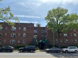 50 S Middle Neck Road 1C Great Neck, NY 11021