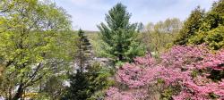 123 Washington Avenue N White Plains, NY 10603
