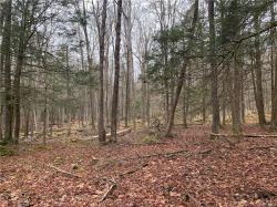 French Clearing Road Forestburgh, NY 12777