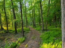 Lot 42 Kenoza Trail Delaware, NY 12750