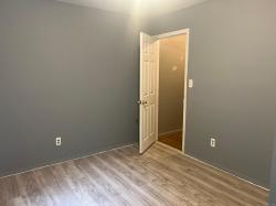 15 Old Field Road Setauket, NY 11733